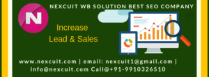 cheapest SEO packages in Delhi NCR | Nexcuit Web Solution