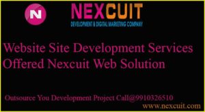Website Site Development Services offered Nexcuit web Solution